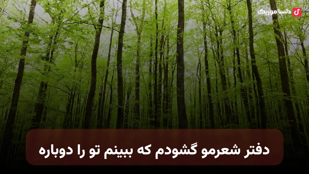 دفتر شعرمو گشودم که ببینم تو را دوباره بین ابیاتی عارفانه